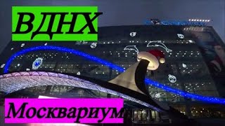 : .    .