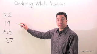 Ordering 2 Digits / My Growing Brain