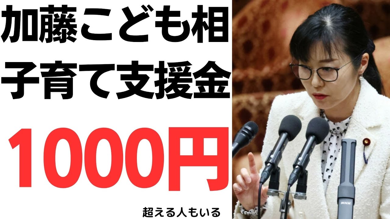 子育て支援金の平均負担額と制度説明を扱う動画のサムネイル