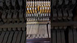 Upright piano (F) and (G) keys don't hit the string most of the time when a dampening pedal is on. screenshot 1