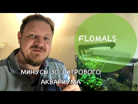 Видео: Топ 5 бързо растещи аквариумни растения за засадени танкове