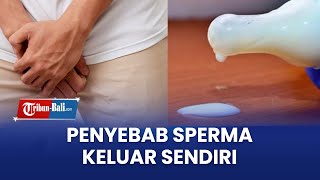 Penyebab Sperma Keluar Sendiri