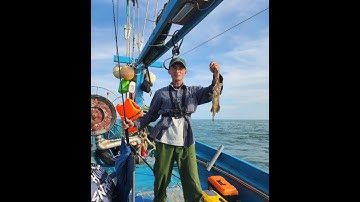 Lure JIG - Biển Long Hải Tỉnh Bà Rịa Vũng Tàu - Ngày thứ nhất