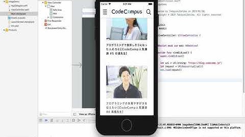 XCode webkit Demo