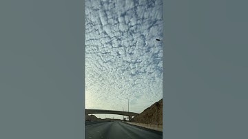 ﴿تَحِيَّتُهُم يَومَ يَلقَونَهُ سَلامٌ﴾ تلاوة فضيلة الشيخ أ.د. ياسر الدوسري