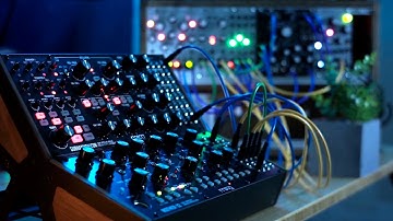 Cascade | Generative Modular Ambient - Subharmonicon, Mother 32, Plaits, QPAS, Marbles, Beads
