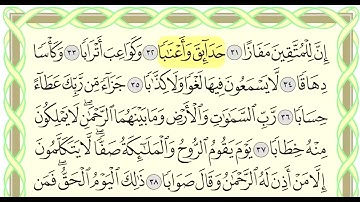سورة النبا بصوت الشيخ احمد العجمي