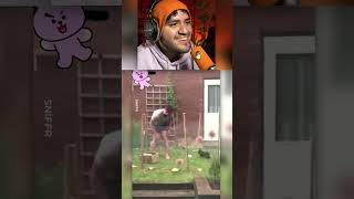 el conejo MAS RAPIDO