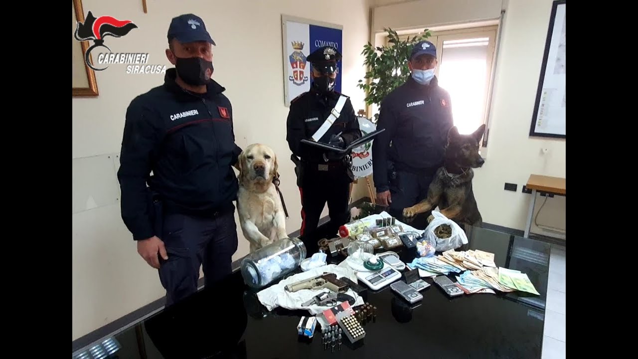 Siracusa, i cani Ivan e Athos scoprono 2 pistole, quasi 2kg di droga e ...