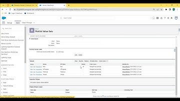 Add New Picklist Value in Global Value Set  #inSalesforce