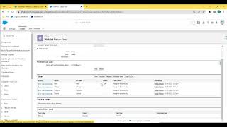 Add New Picklist Value In Global Value Set
