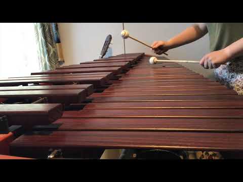 Wonderful days – Charley Lownoise and Mental Theo on Marimba