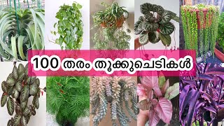 2022 ലെ 100 തരം തൂക്കുചെടികൾ പരിചയപ്പെട്ടാലോ||Hanging plants||Ewaas world