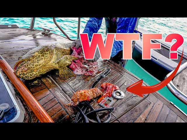 We found something inside this fish you won't believe...