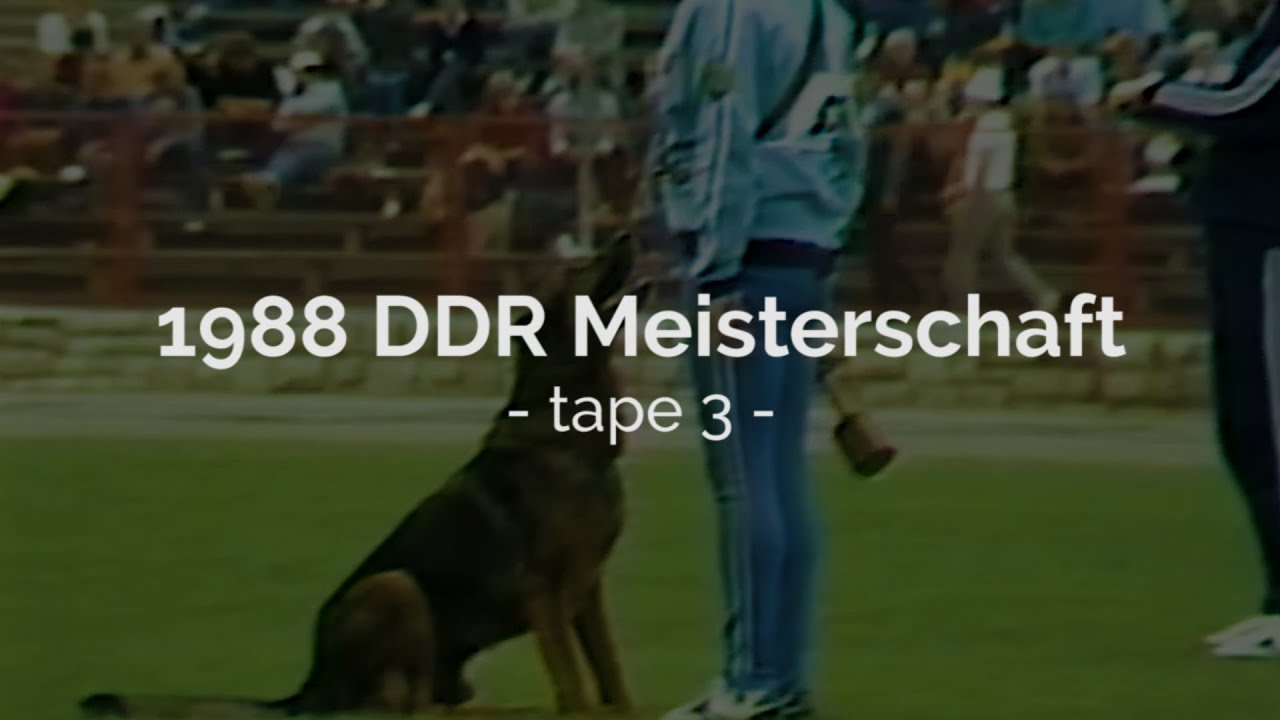 1988 DDR Meisterschaft - Tape 3