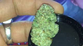 Lotus Punch High Times Cannabis Cup Entry #16 from the Hybrid Flower Category