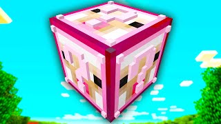 CUBOS MÁGICOS DE OBEJO!  | Minecraft