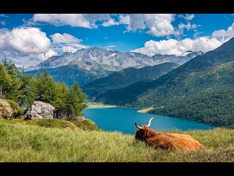 Video: Bern A Ženeva Jsou Dvě Hlavní Města Švýcarska