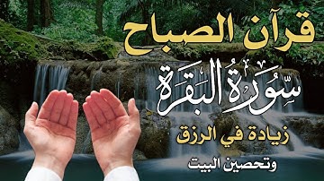 قران الصباح سورة البقرة كاملة 🌹 لزيادة الرزق ولحفظ وتحصين المنزل Surah Al Baqara