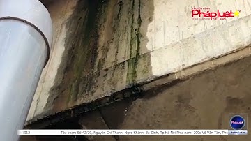 Sai phạm cao tốc Đà Nẵng – Quảng Ngãi: VKSND tối cao truy tố 36 bị can