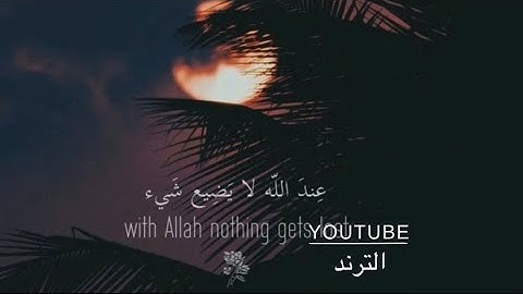 صوت جميل ومريح جدا لنوم🥺🍃القارئ عبدالرحمن مسعد