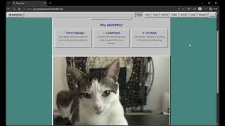 CS5610 Project 2 SP2026
