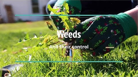 Crop Production And Management || Class VIII Biology || Part 3