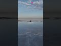 This Place Turns Into a GIANT MIRROR! 🤯🌎 | Salar de Uyuni, Bolivia #travelblogger #travelvlog