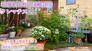 【秋も明るい庭づくり＊玄関周り模様替え】【クレマチス植栽・植替え】【ガーデンマム＊可愛く毎年咲かせたい♪】【レウコフィラム植替え】ガーデニング