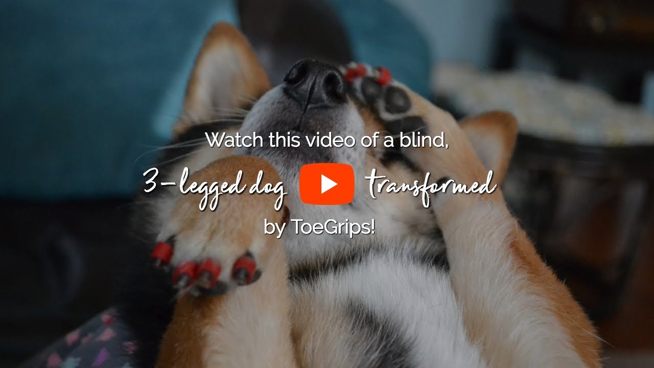 Dr. Buzby’s ToeGrips® Dog Nail Grips