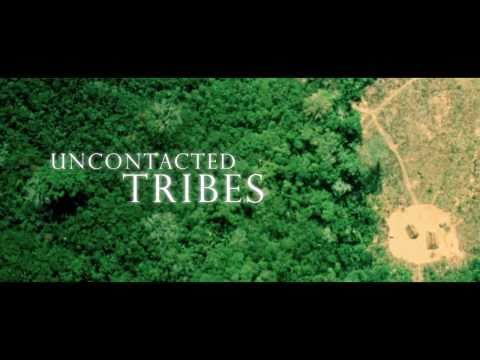 Video: Was ist der indigene Ansatz?