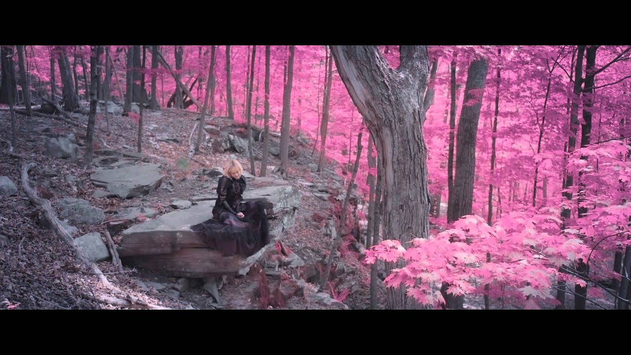 The Shoe - "His Gorgeousness" [Official Video]