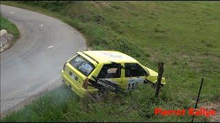 Rallye du Bassin Annonéen 2024 - Mistakes & Flat Out [HD] - Pierrot Rallye