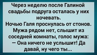 видео: Когда Жена Легла Спать Кума Залезла На Мужа! Сборник Свежих Анекдотов! Юмор!. картинка: Когда Жена Легла Спать Кума Залезла На Мужа! Сборник Свежих Анекдотов! Юмор!.