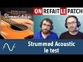 Session guitarist strummed acoustic  test