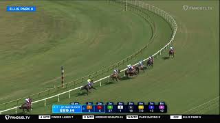 Ellis park race 8 2025