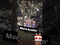 Holiday Busking: Happy Holidays #christmas #andywilliams #christmasmusic #livemusic #seattle