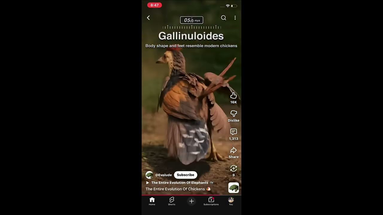 go back i want to be lizard