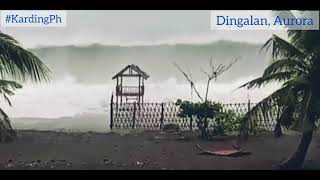 Storm Surge in Aurora Quezon Province due To Super Typhoon Karding Ph ( Noru)