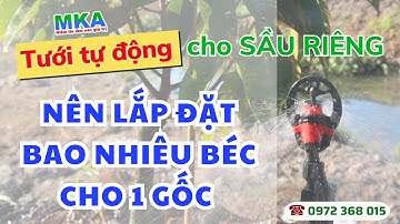 Hệ thống tưới tự động NÊN LẮP BAO NHIÊU BÉC để cung cấp ĐỦ NƯỚC cho cây?