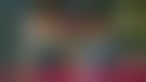 Bully Anniversary Edition | Carnival Date | Jimmy