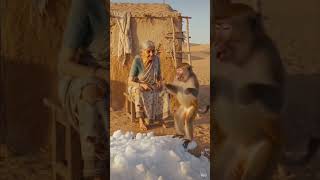 #aivideo #viralvideo #einsteinexplained #respect lajawab video ai creator