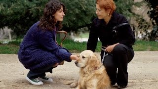 Download lagu WOMEN IN THE PARK - Trailer with English Subtitles