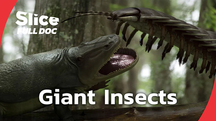 The Fall of Prehistoric Giant Insects | FULL DOCUMENTARY