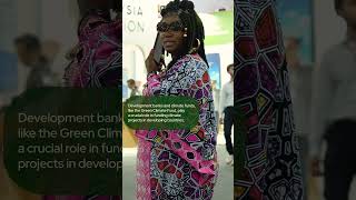 Why Climate Finance Is The Key To A Prosperous World. At