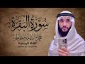 سورة البقرة بصوت القارئ الشيخ محمد أسامة للبركة وتحصين المنزل من الشياطين