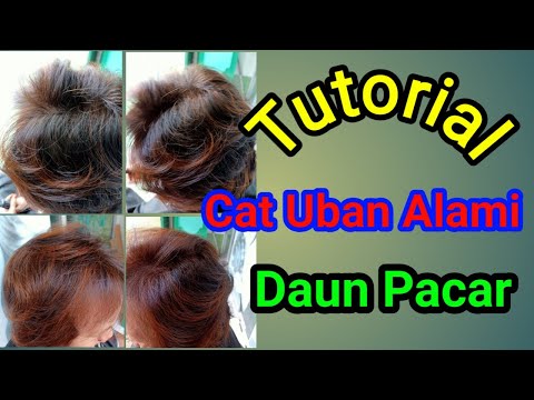 Tutorial cat uban alami daun pacar.