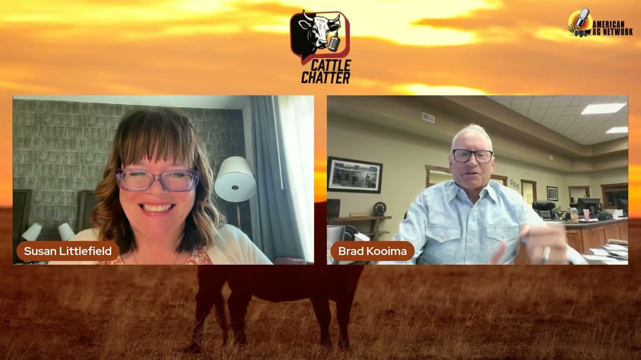 Top or Pause Cattle Market Faces Key Questions | 4/16/26 Cattle Chatter