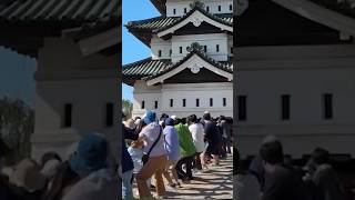 How a crowd used tug of war to shift a 400-year-old castle