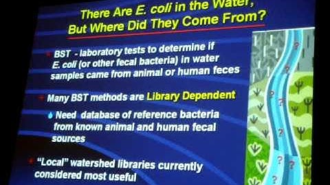 Bacterial Source Tracking